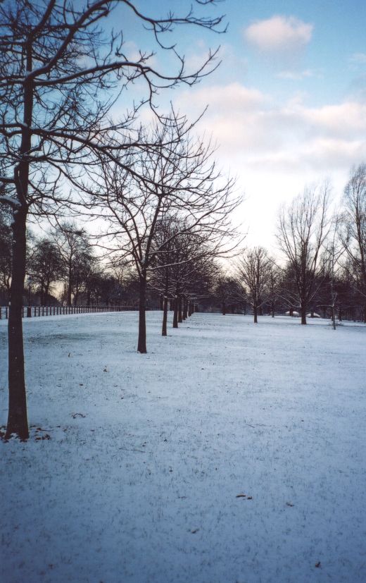 Hyde Park under snow.