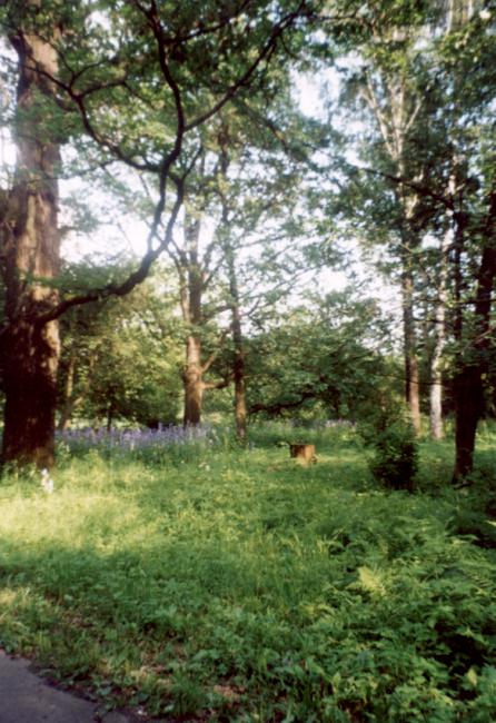 We spent a day wandering the huge, overgrown botanic gardens