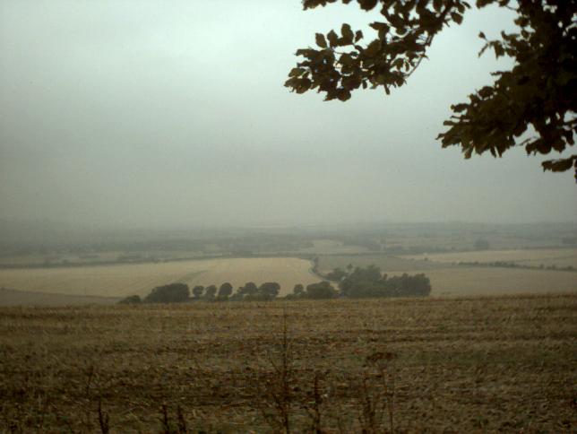 Fields and mist above Avebury