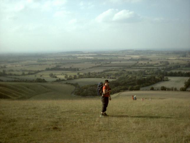 Holly just above Uffington White Horse