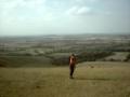 Holly just above Uffington White Horse