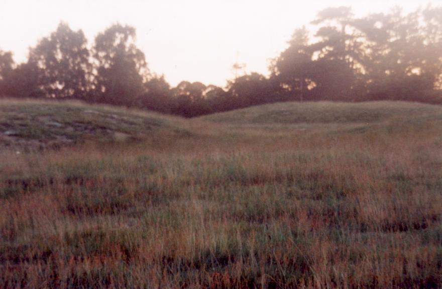 Sutton Hoo is an ancient Ango-Saxon burial site