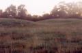 Sutton Hoo is an ancient Ango-Saxon burial site