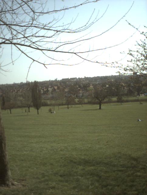 Gladstone Park, near our place.