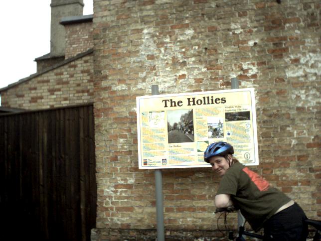 Holly under a sign in Downham Market