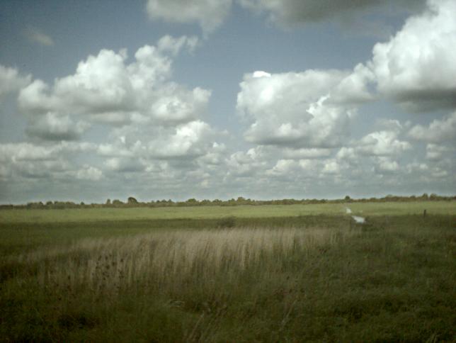 The amazing countryside around Welney