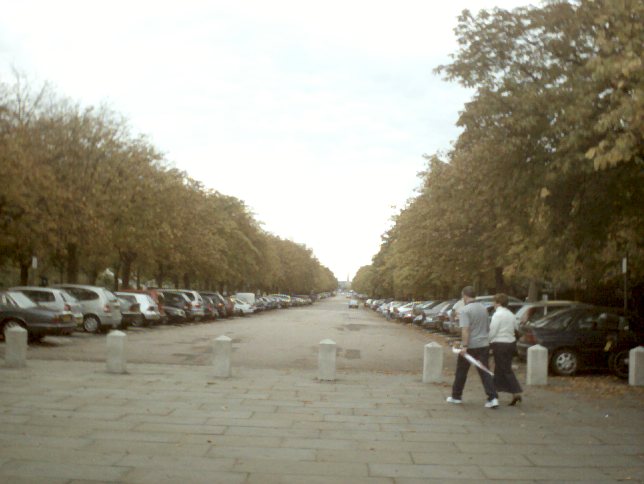 Autumn leaves in Greenwich