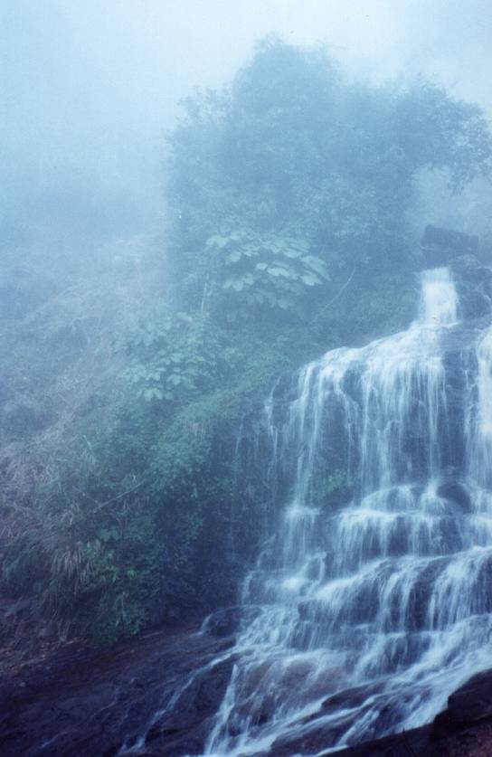 This waterfall is on the mountain that divides the hottest, dryest region of Vietnam with the coldest, Sapa.