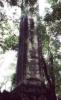 An eerie column at one of the tombs.