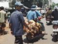 The chicken market in Cholon, the Chinese quarter.